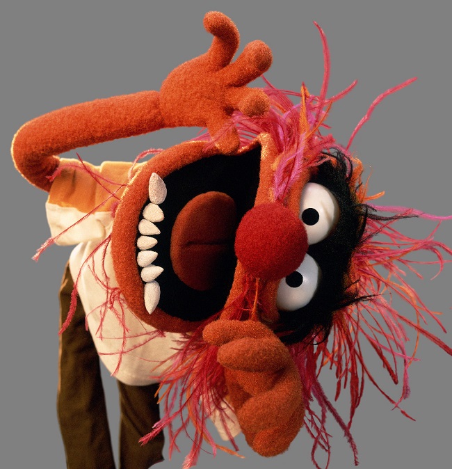 The muppets show 2015