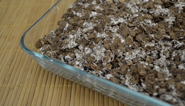 Spider crispy treats recipe with cocoa pebbles Cocoa pebbles recipe