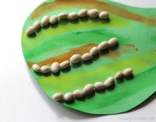 Gourds fall craft for kids