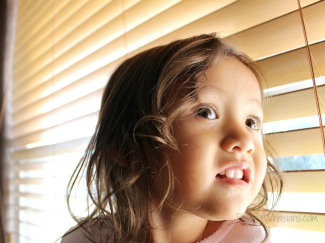 Window safety tips for families that you didn't know Home safety tips kids