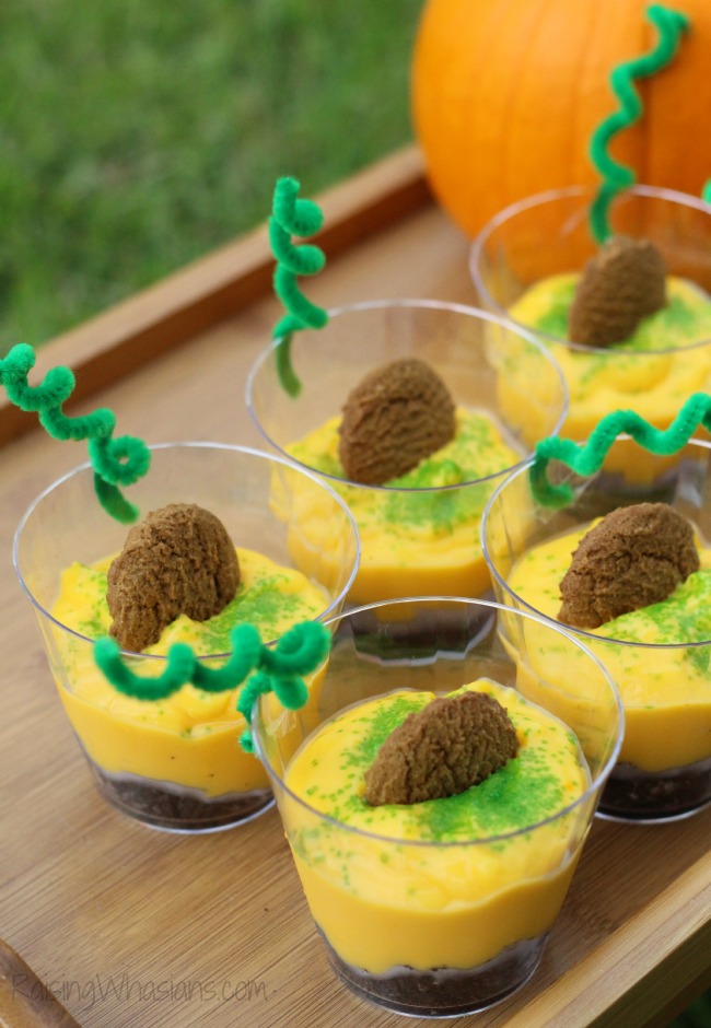 Pumpkin patch treat idea