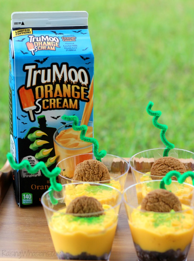 TruMoo orange scream milk review