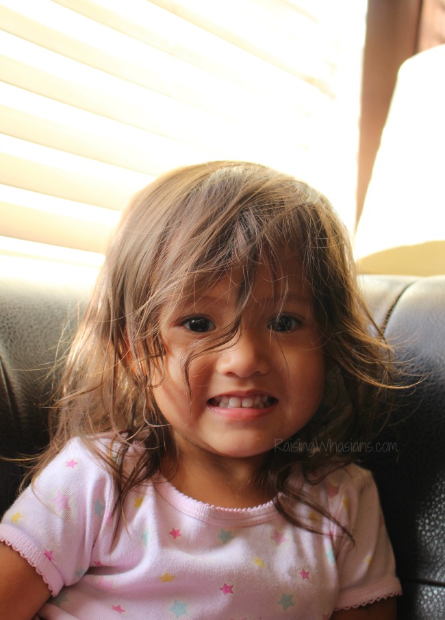 Window safety tips for families that you didn't know Window safety toddlers