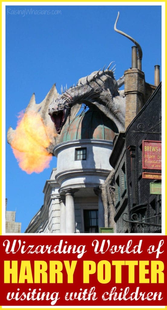 Wizard world of harry potter with kids