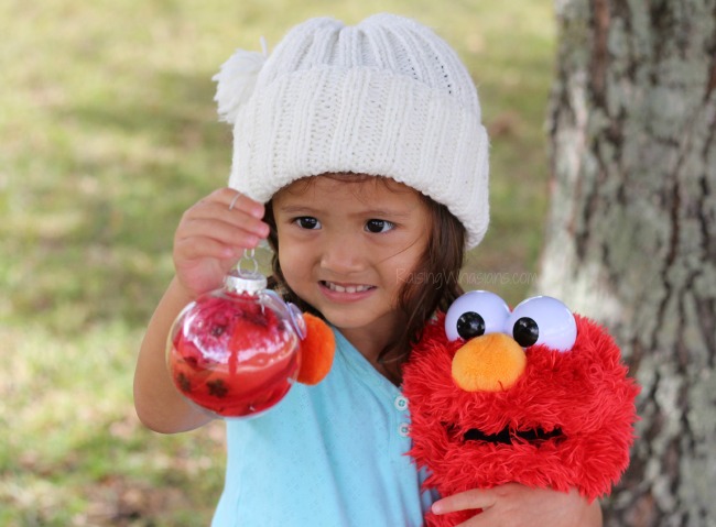 Elmo Christmas craft