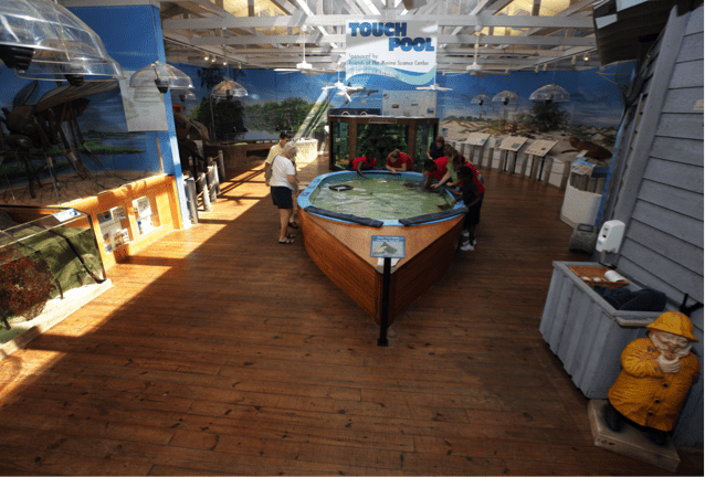 Daytona beach for kids