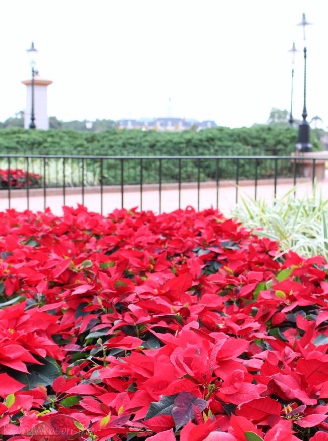2015 Disney candlelight processional Epcot candlelight processional what you need to know