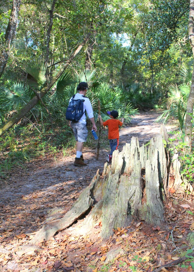 Boy scouts hiking experience