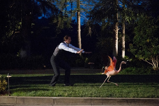 Exclusive agent carter interview
