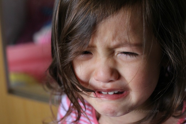 Things I want to tell my toddler right now Toddler conversation
