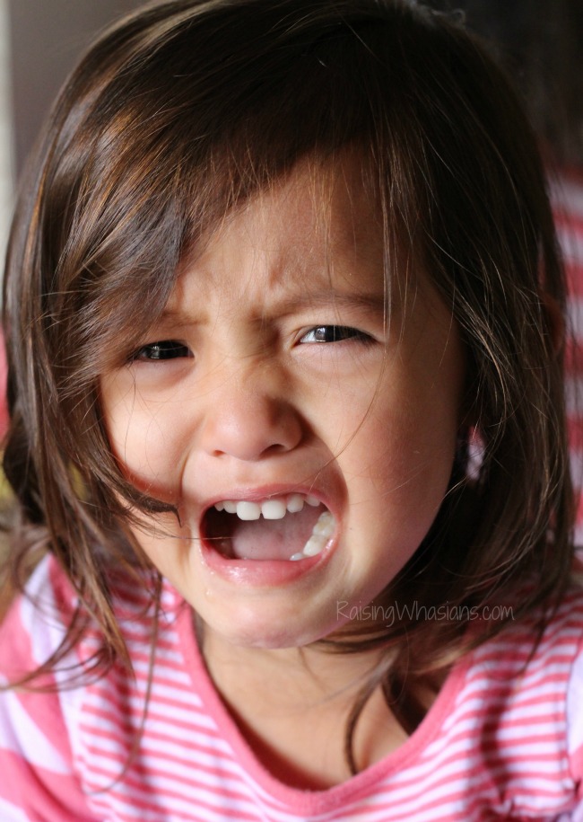 Things I want to tell my toddler right now Toddler humor parenting