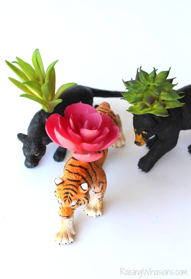 Air plant holder diy Disney the jungle book