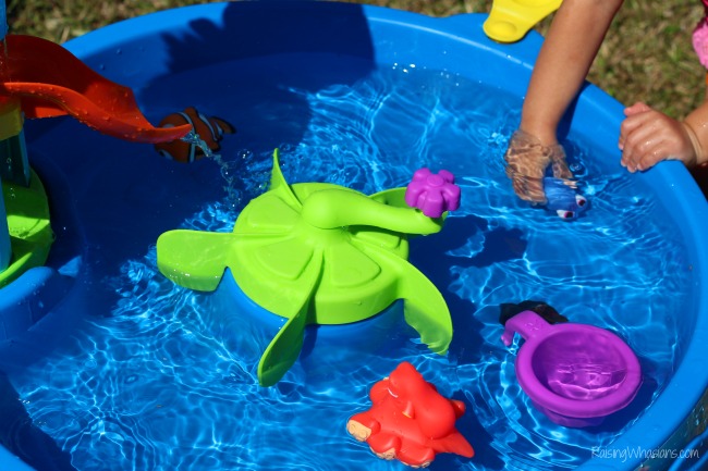 Finding Dory water table