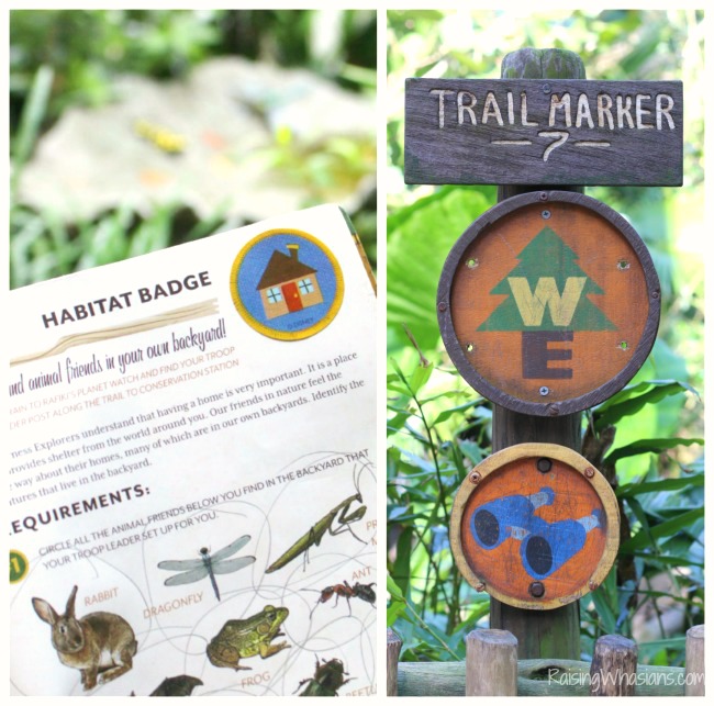 Free Disney animal kingdom