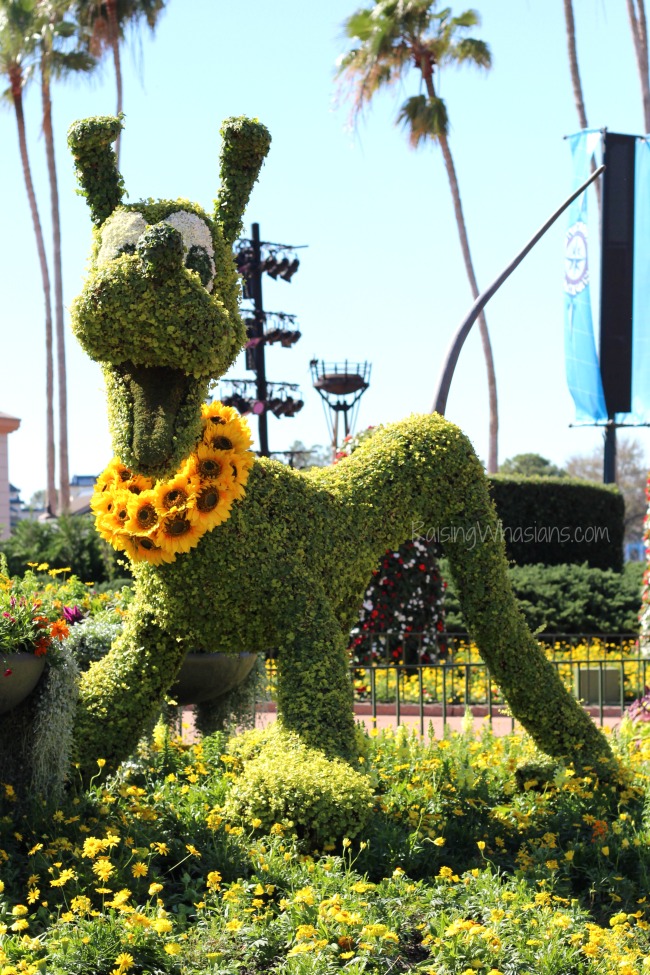 2016 flower and garden festival
