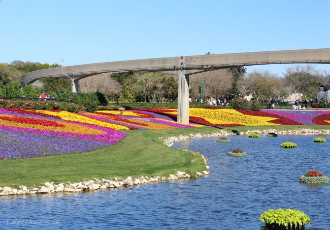 Best of flower and garden festival 2016
