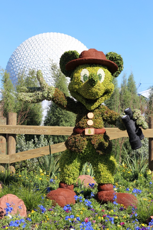 Epcot flower and garden festival 2016