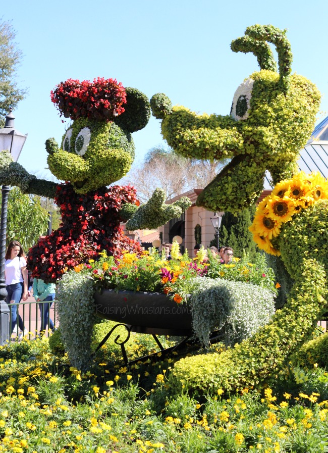 Flower and garden festival 2016 Disney