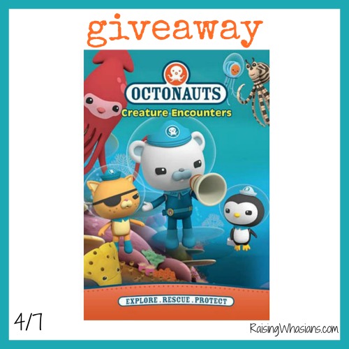 Octonauts creature encounters