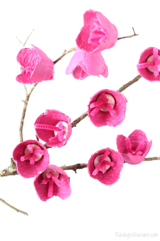 Cherry Blossom Craft for Kids Raising Whasians