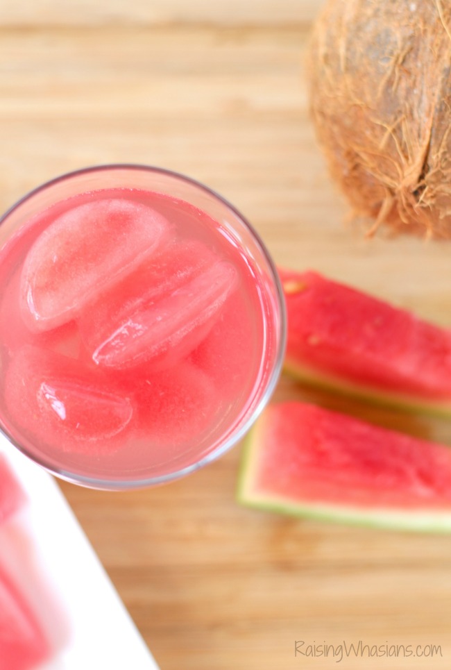 Watermelon Coconut Fruit Ice Cubes Easy fruit infused water