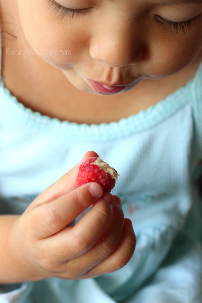 Frozen Key Lime Pie Raspberry Bites | Easy kid-friendly snack idea that's perfect for summer! Key lime pie meets raspberries in a bite sized frozen treat! #Dessert #Appetizer #Recipe