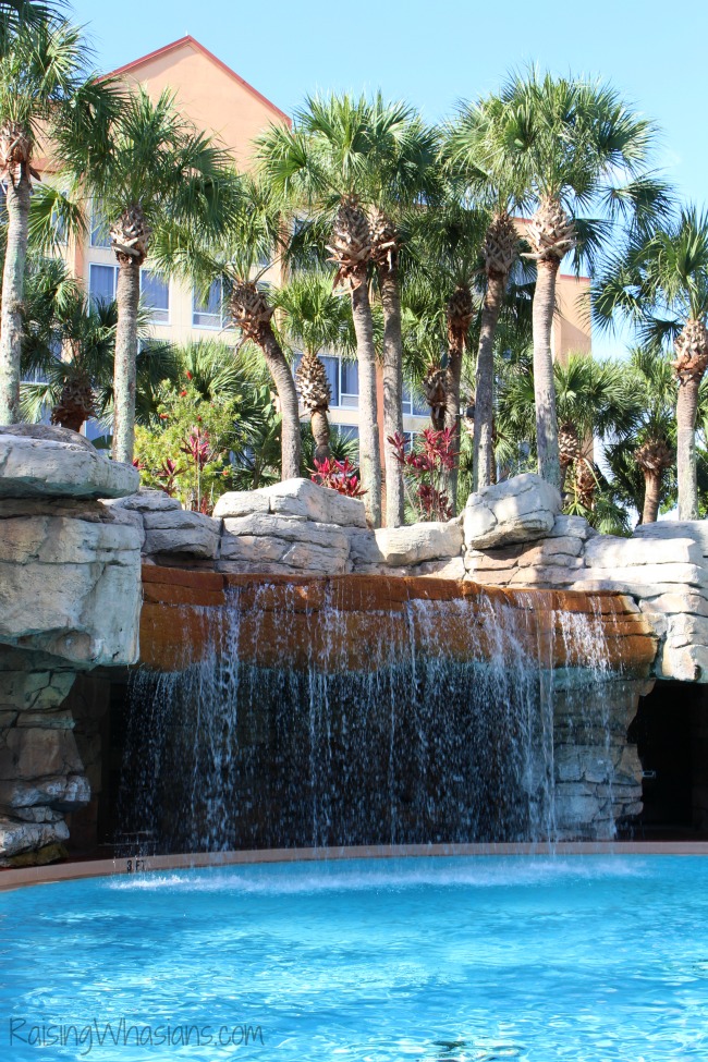 Radisson hotel coupon offer