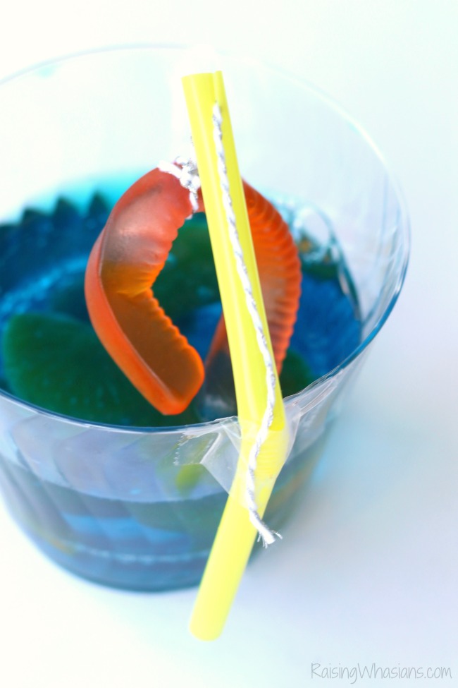 Fishing party idea dessert Gone Fishing Party Jello Dessert | Make this cute and easy dessert Jell-O cups for your next fishing themed party, complete with DIY fishing pole #PartyPlanning #Recipe