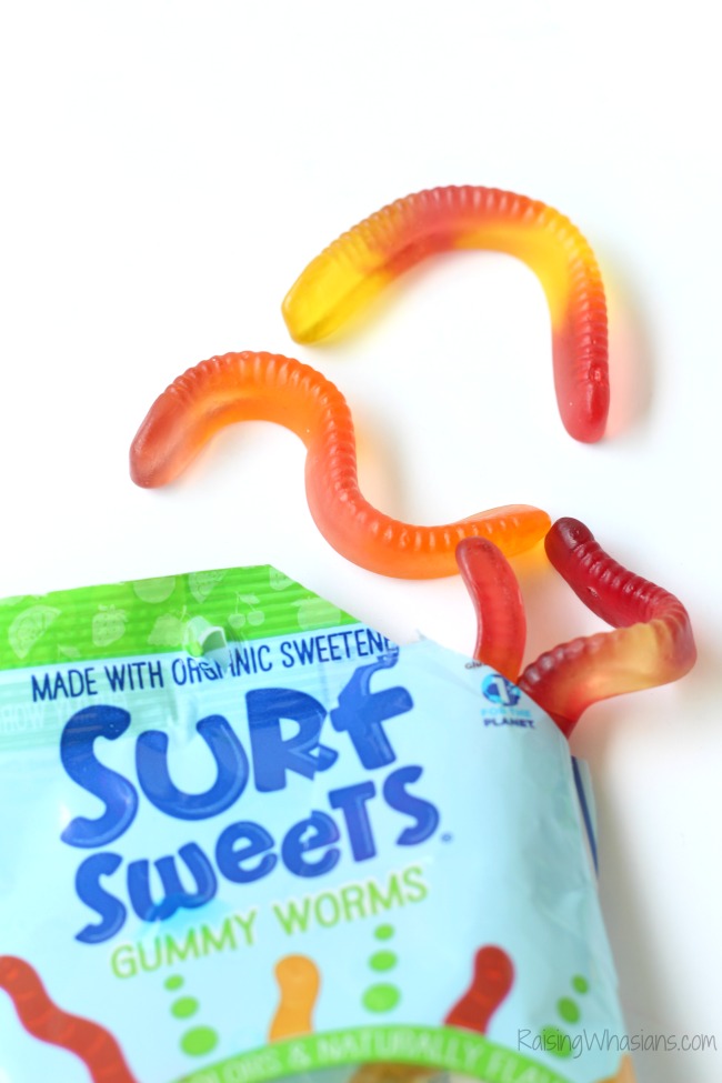 Surfsweets review
