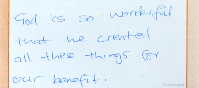 World vision letters