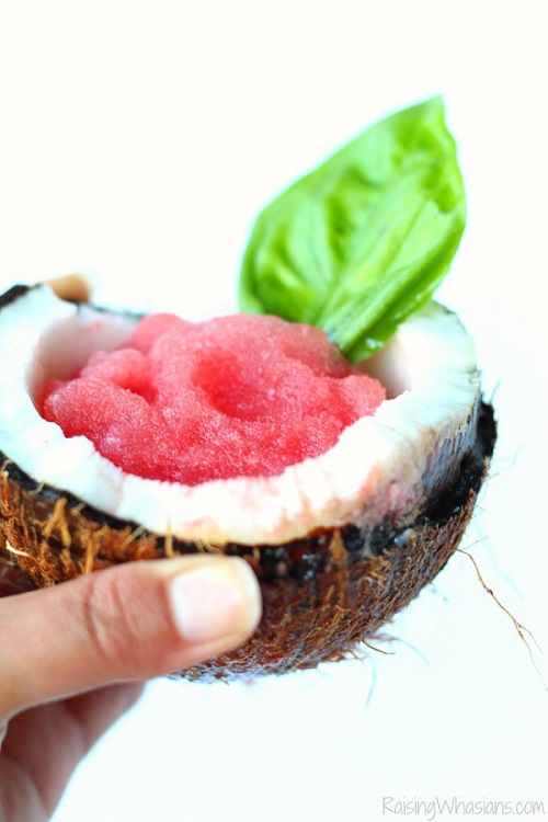 Watermelon slush recipe summer