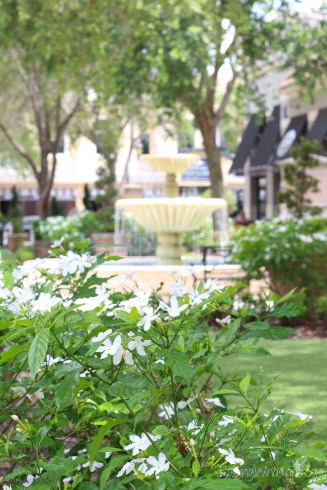 Winter park village for families