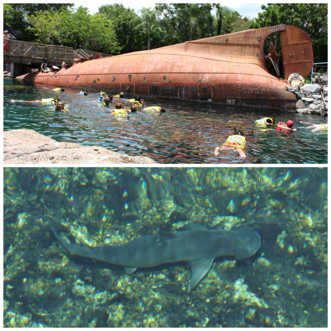 Typhoon Lagoon shark reef snorkel