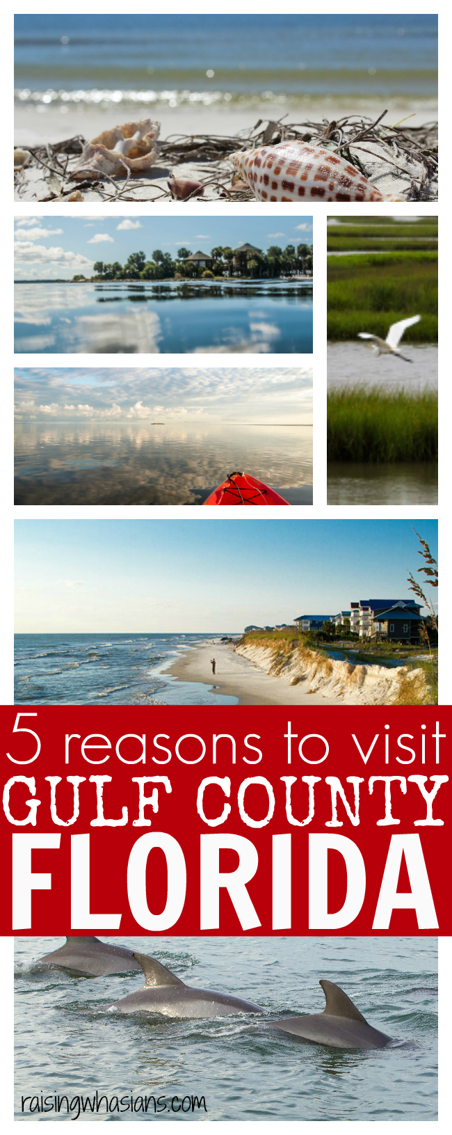 5 reasons for your family to visit gulf county florida
