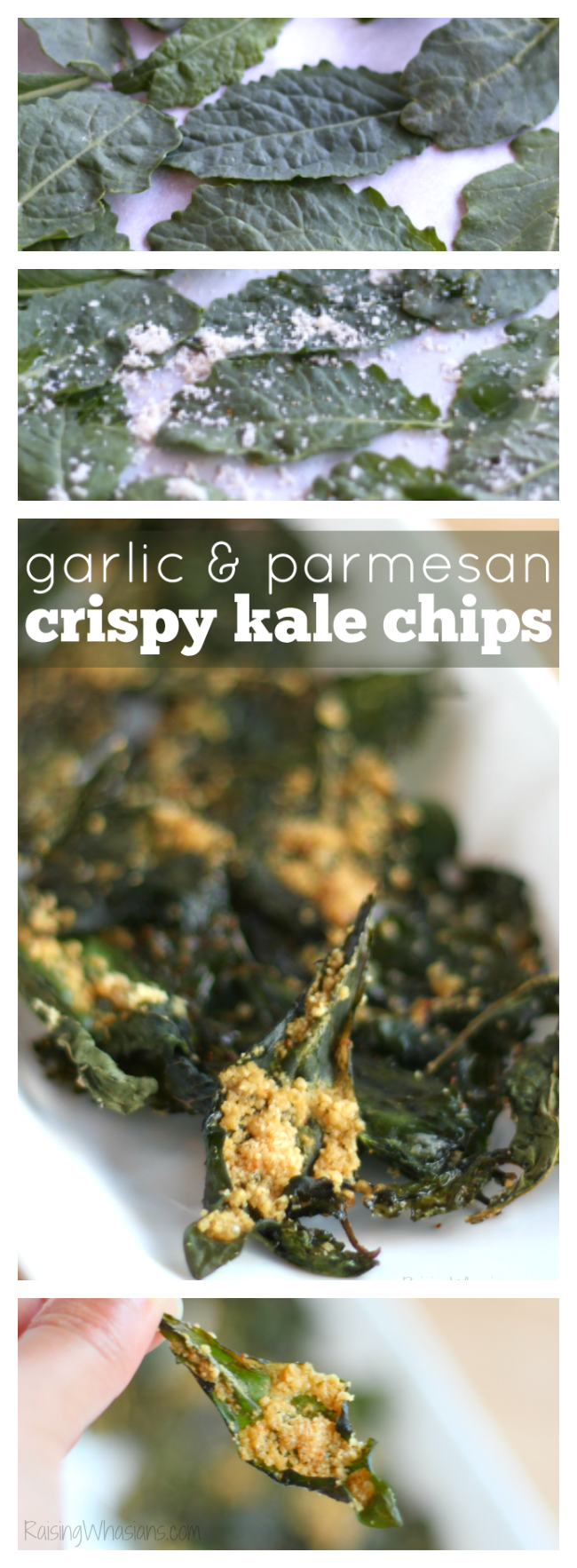 Crispy Kale Chips with Garlic & Parmesan | Tips on making the crunchiest kale chips + recipe for Easy Kale Chips with garlic & Parmesan cheese #Recipe #Appetizer