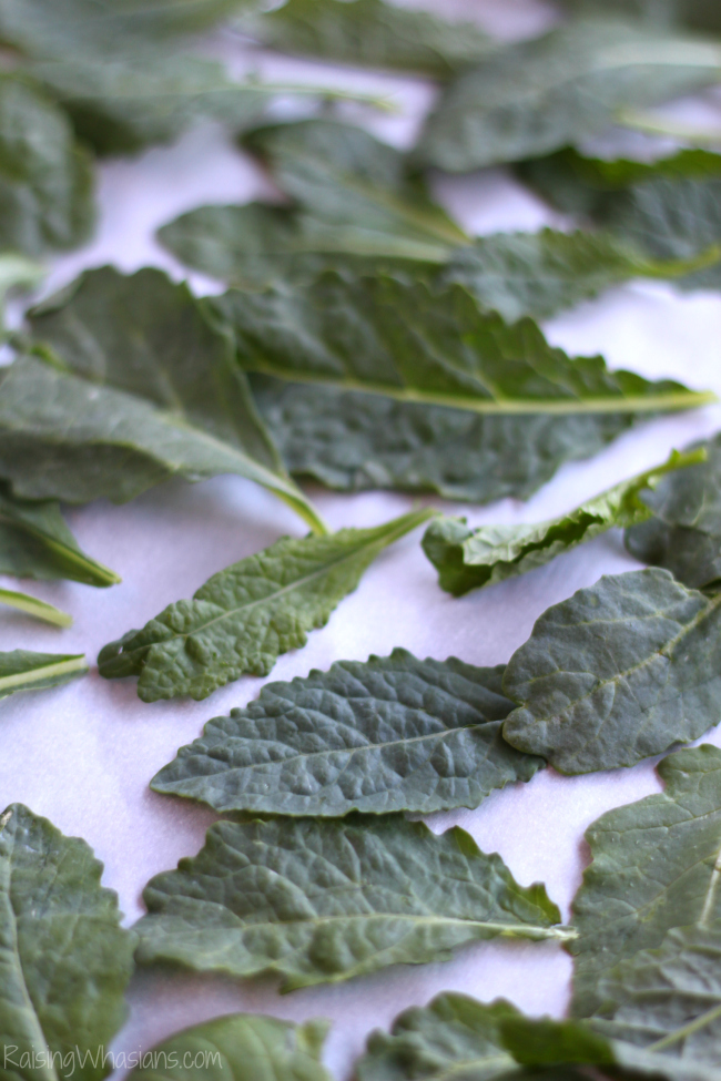 Crispy Kale Chips with Garlic & Parmesan | Tips on making the crunchiest kale chips + recipe for Easy Kale Chips with garlic & Parmesan cheese #Recipe #Appetizer