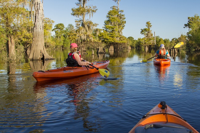 Gulf county things to do