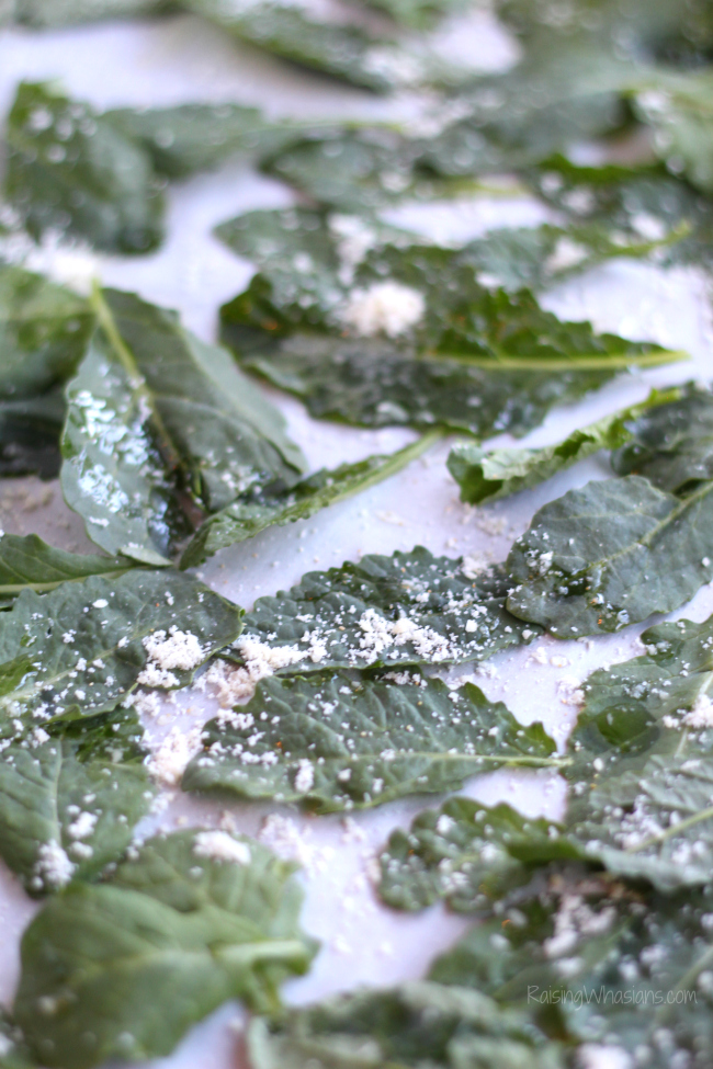 Crispy Kale Chips with Garlic & Parmesan | Tips on making the crunchiest kale chips + recipe for Easy Kale Chips with garlic & Parmesan cheese #Recipe #Appetizer