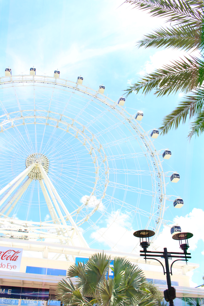 Picnic lunch under the Orlando eye