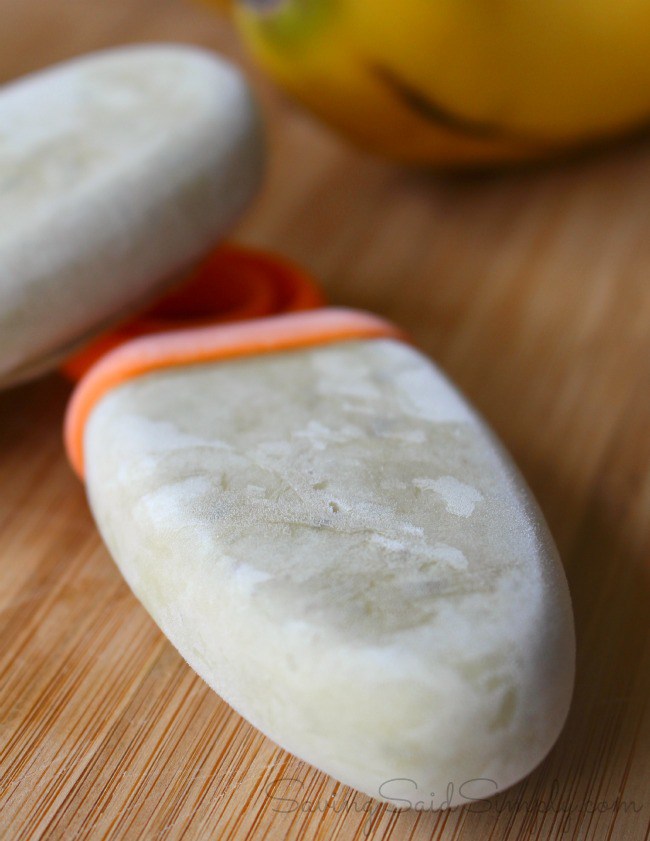 Creamy Pumpkin Popsicles No Dairy Banana avocado popsicle recipe