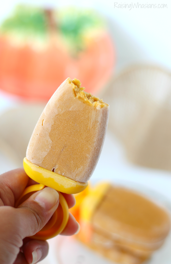Creamy pumpkin popsicles Creamy pumpkin popsicles
