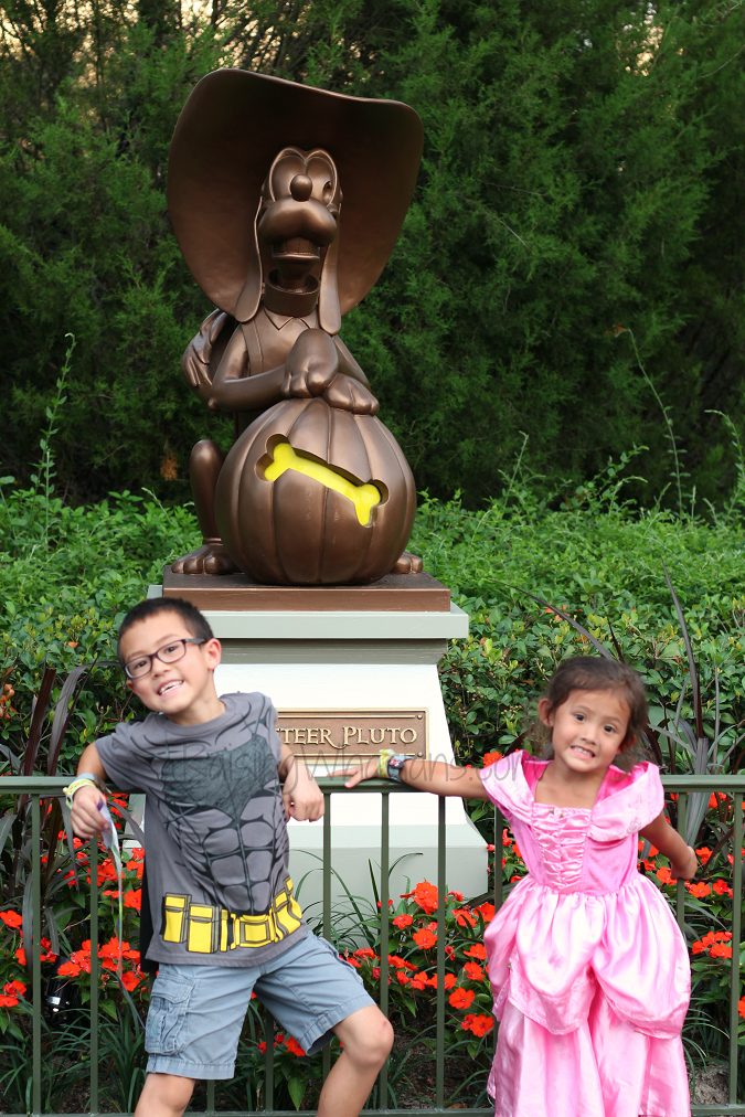 Family tips MNSSHP