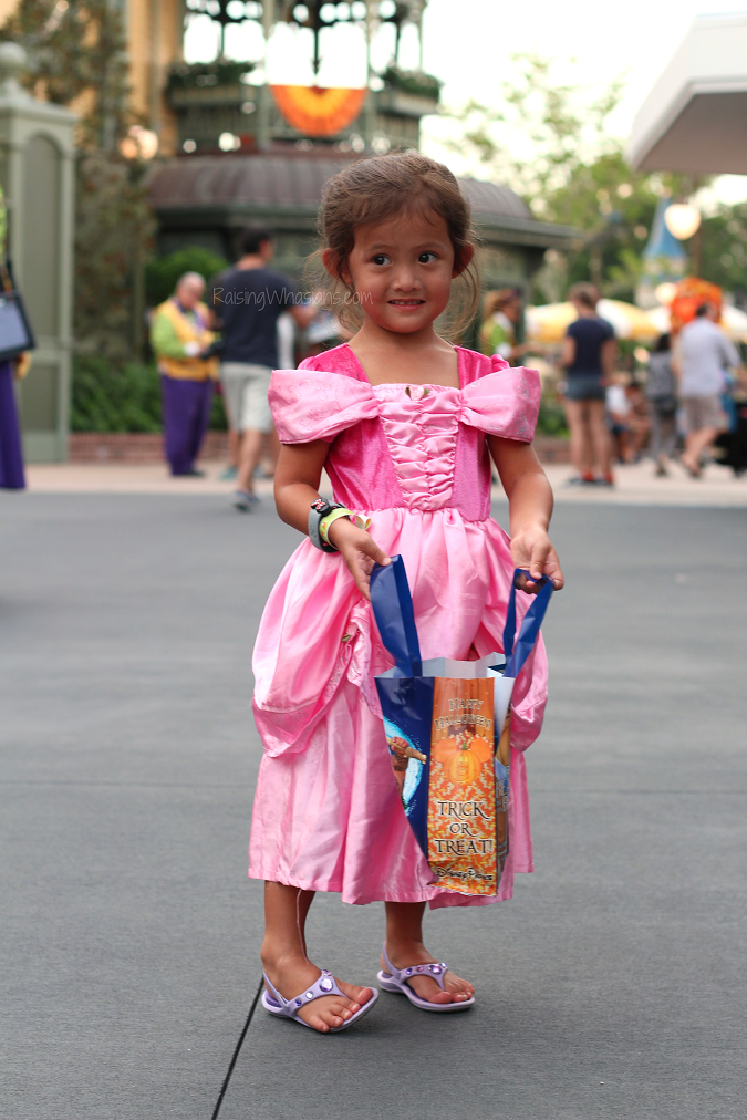 MNSSHP 2016