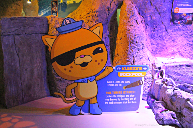 Orlando octonauts event