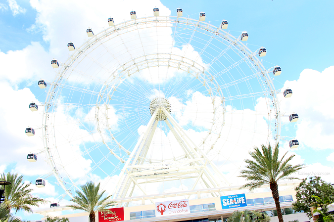 Orlando eye sea life
