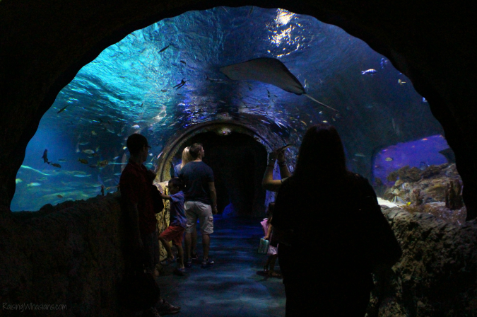 Orlando things to do for families