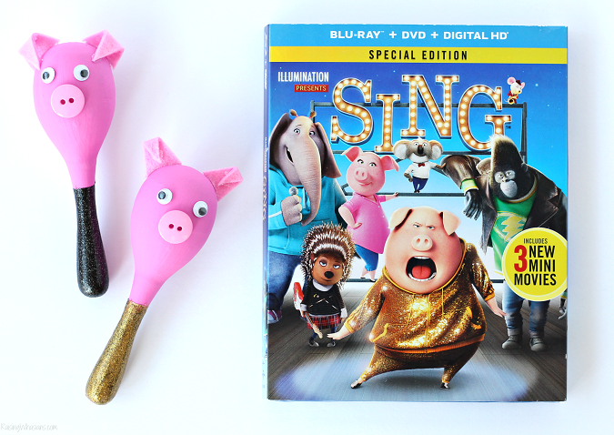 Pig maracas diy