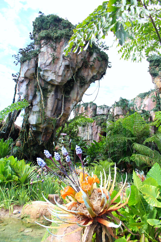 Disney pandora best tips