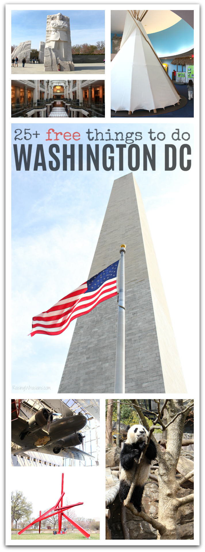 25+ FREE Things to Do in Washington DC for Families - Raising Whasians Free things to do in DC pinterest