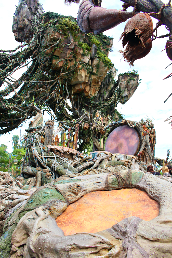 Flight of passage tips child swap